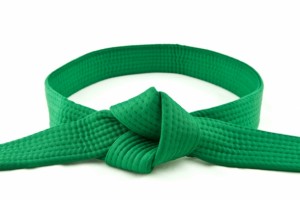 six sigma green belt