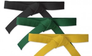 Six Sigma Belts