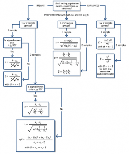 Hypothesis Testing Decision Tree