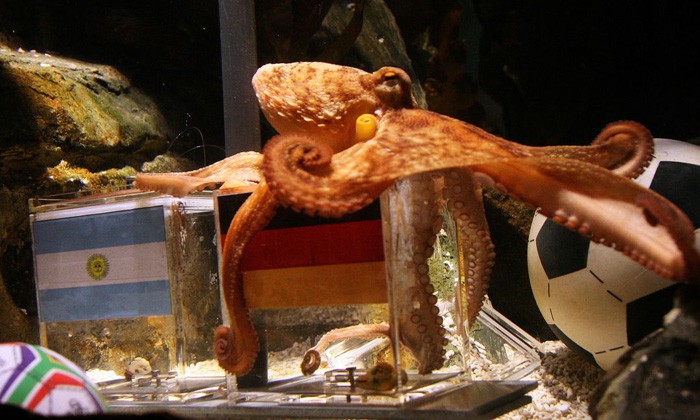 Paul the Octopus