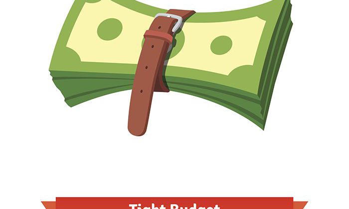 Tight Budget Lean Six Sigma