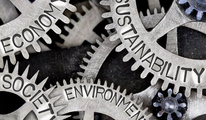 Sustainability vs. Reliability
