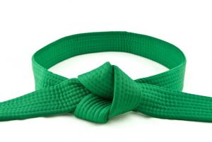 Lean Six Sigma Green Belt Designation