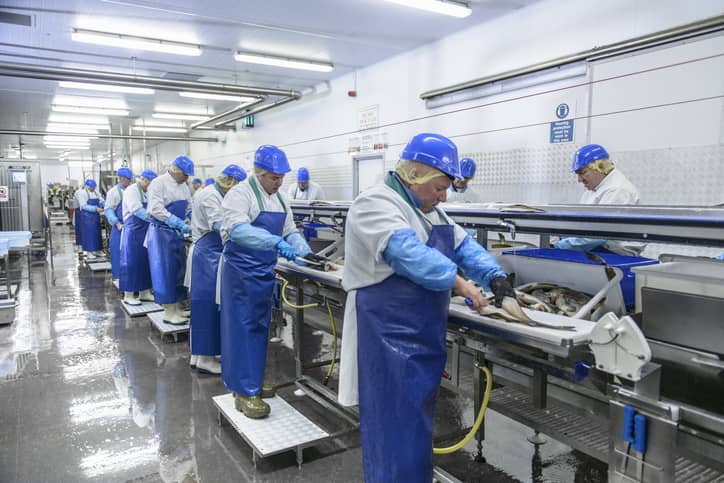 frontline workers in a food production line