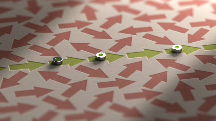 Consistent organization of arrows moving in the same direction surrounded by arrows moving in opposite directions
