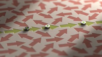 Consistent organization of arrows moving in the same direction surrounded by arrows moving in opposite directions